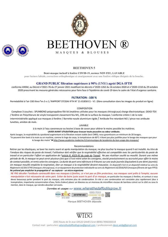 notice masque inclusif BEETHOVEN