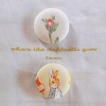 boutons rose et Pierre lapin